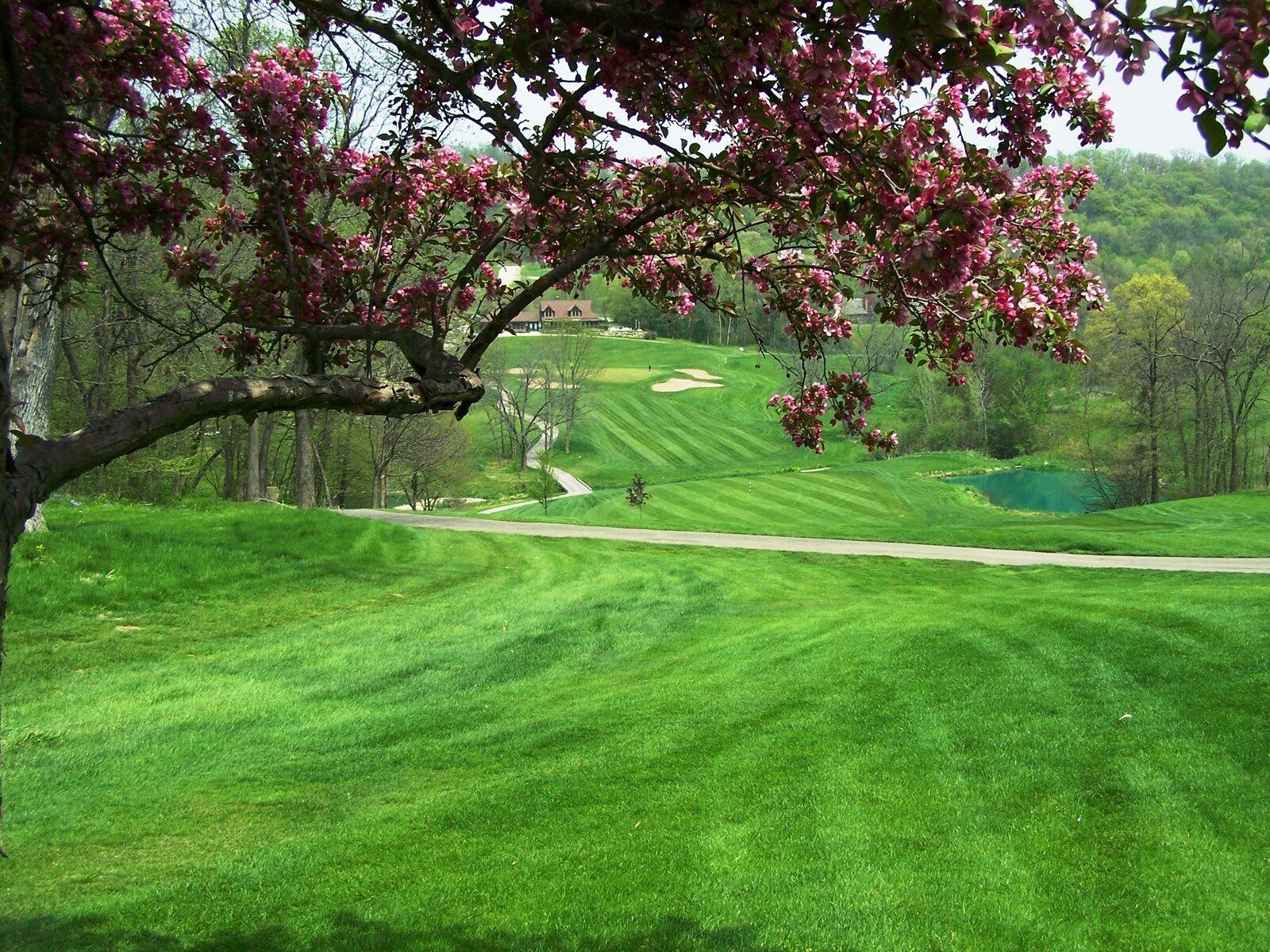 Eagle Ridge Resort And Spa Galena Eksteriør bilde